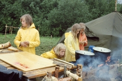 1972g